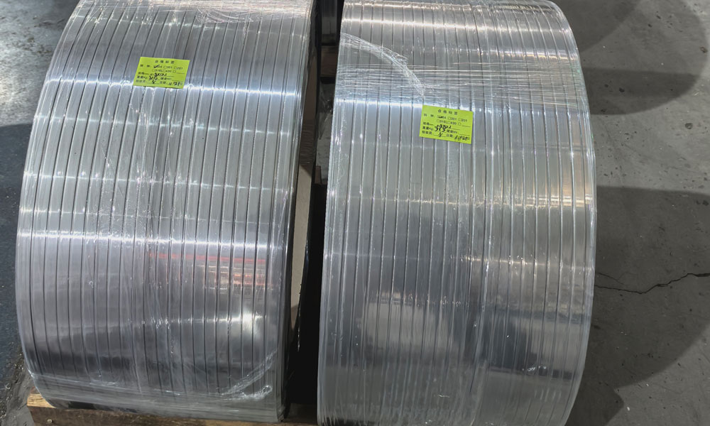 Thin Stainless Steel Strips