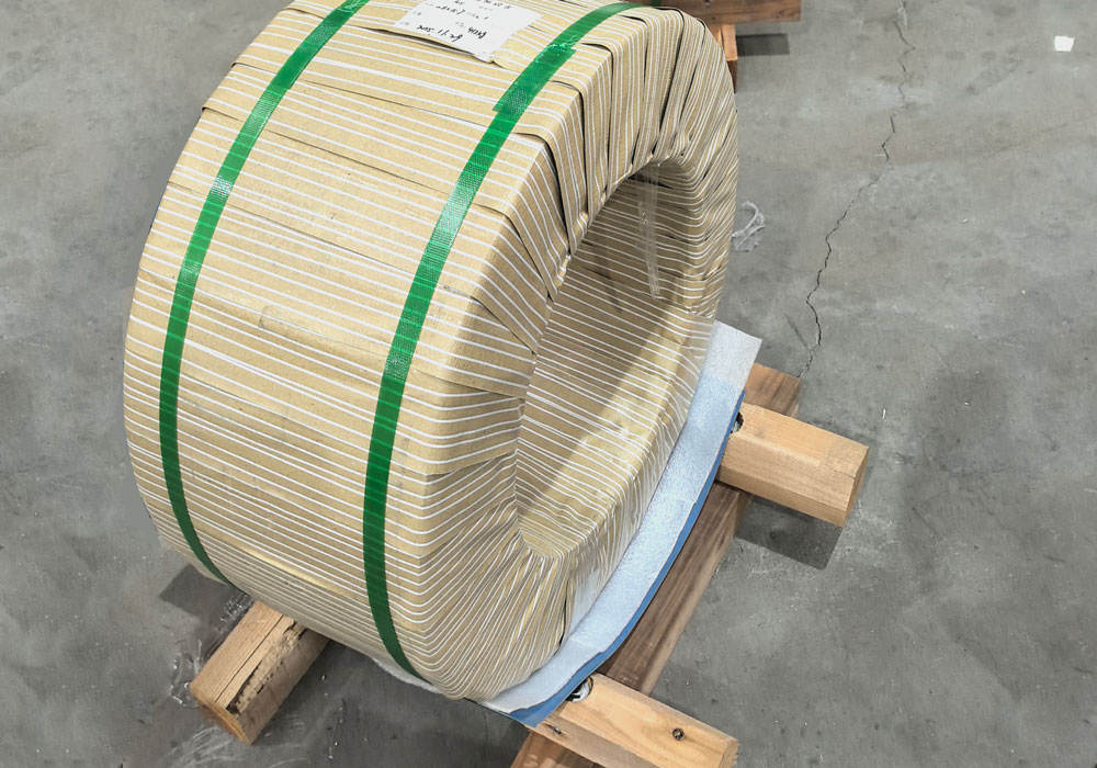 Thin Stainless Steel Strips